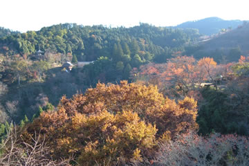 世界遺産・吉野山 眺望風呂と桜の宿 一休庵イメージ